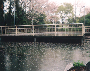 水上ステージ設計・製造・設置